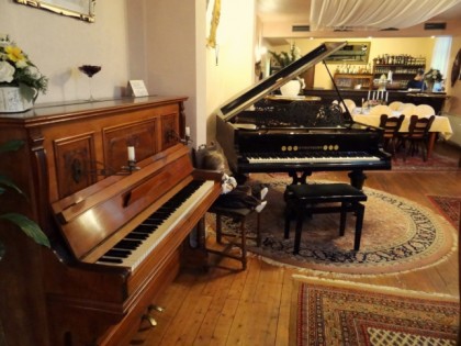 照片: Villa Knöterich